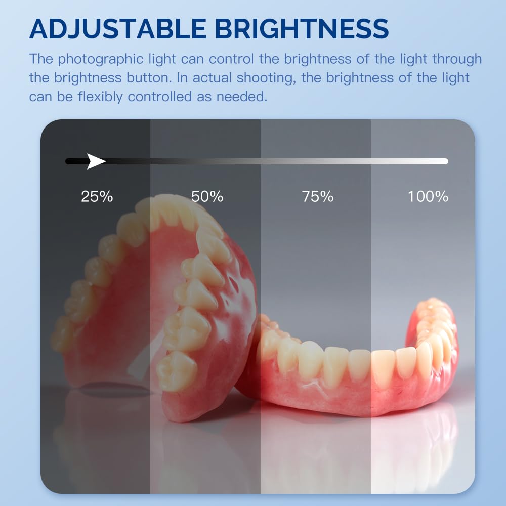 プロフェッショナル歯科用LED補助ライト |   20000 - Photography Lighting Composition のレビューと価格